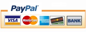 Paypal-payment-options